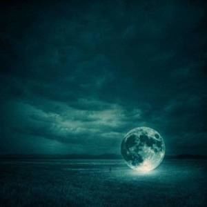 Meet your Posher, Mario